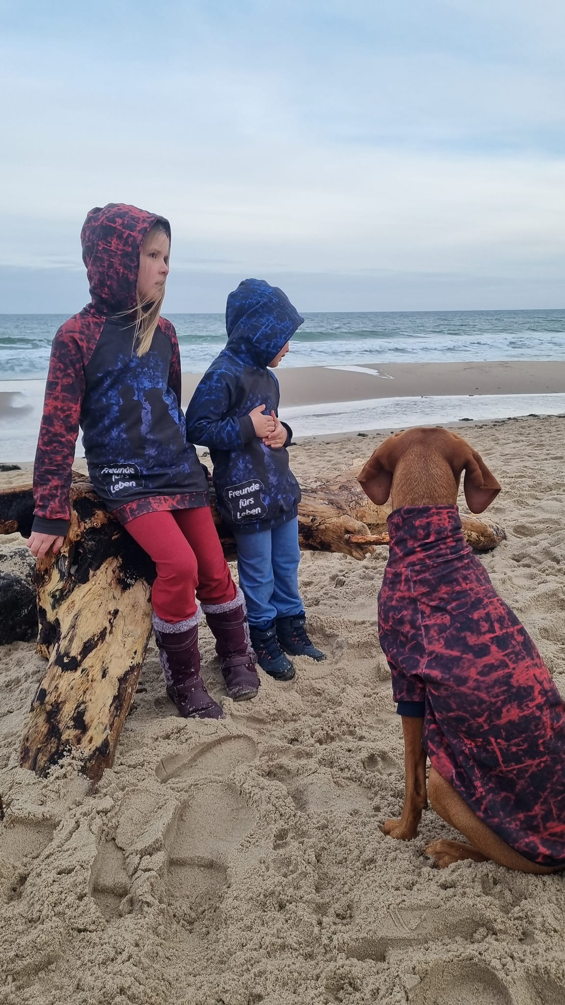 492247185_9628881307228345_5973684624198719494_n