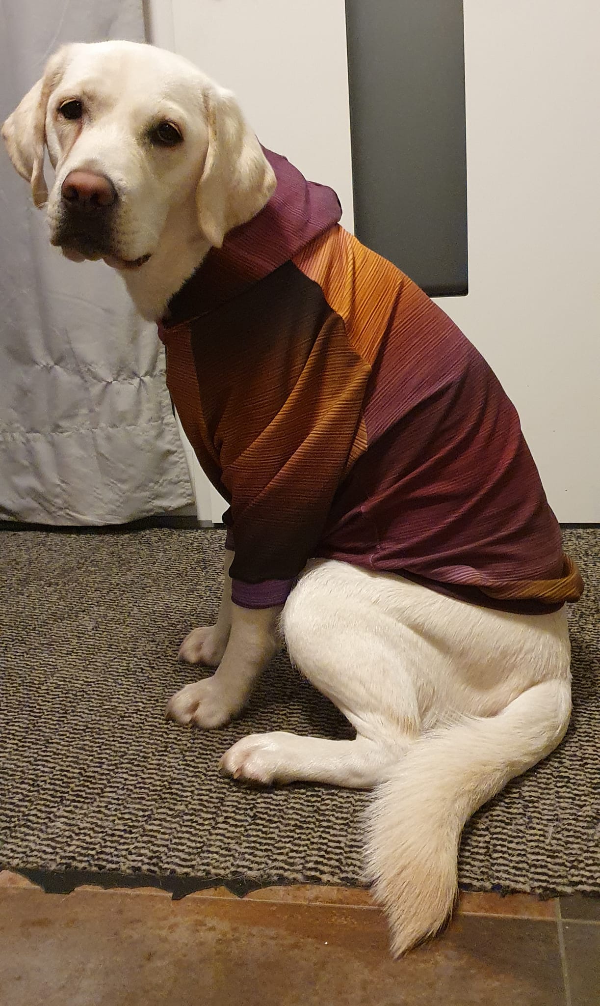 503759016_30809951368603719_3948349047379176352_n