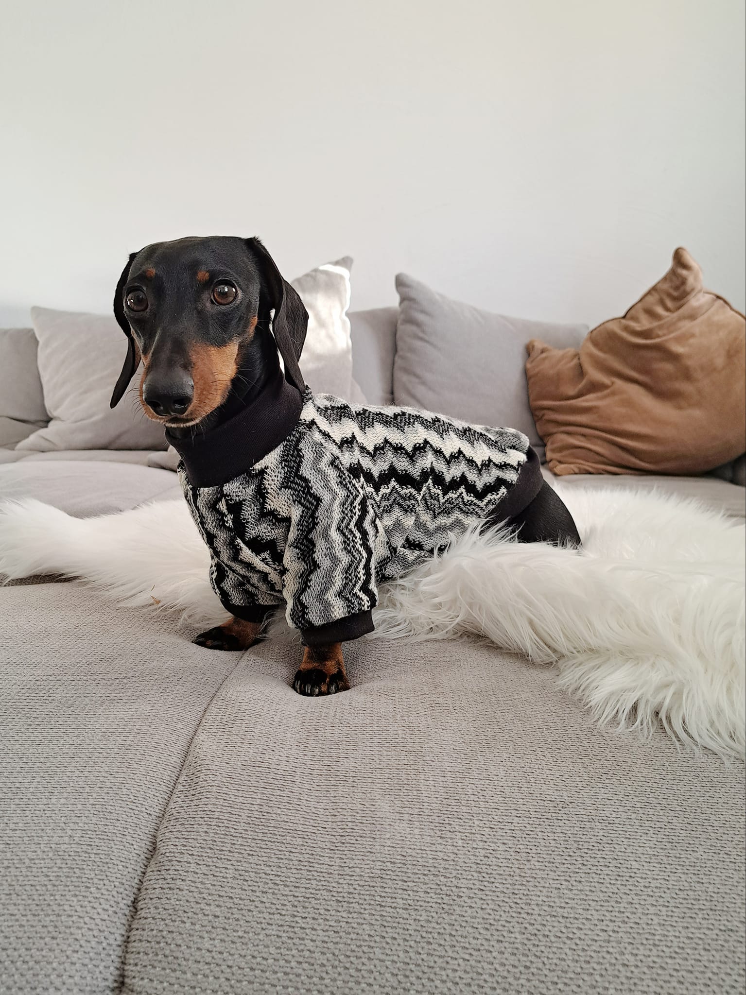 505198333_10233866966009718_8756931983261467827_n