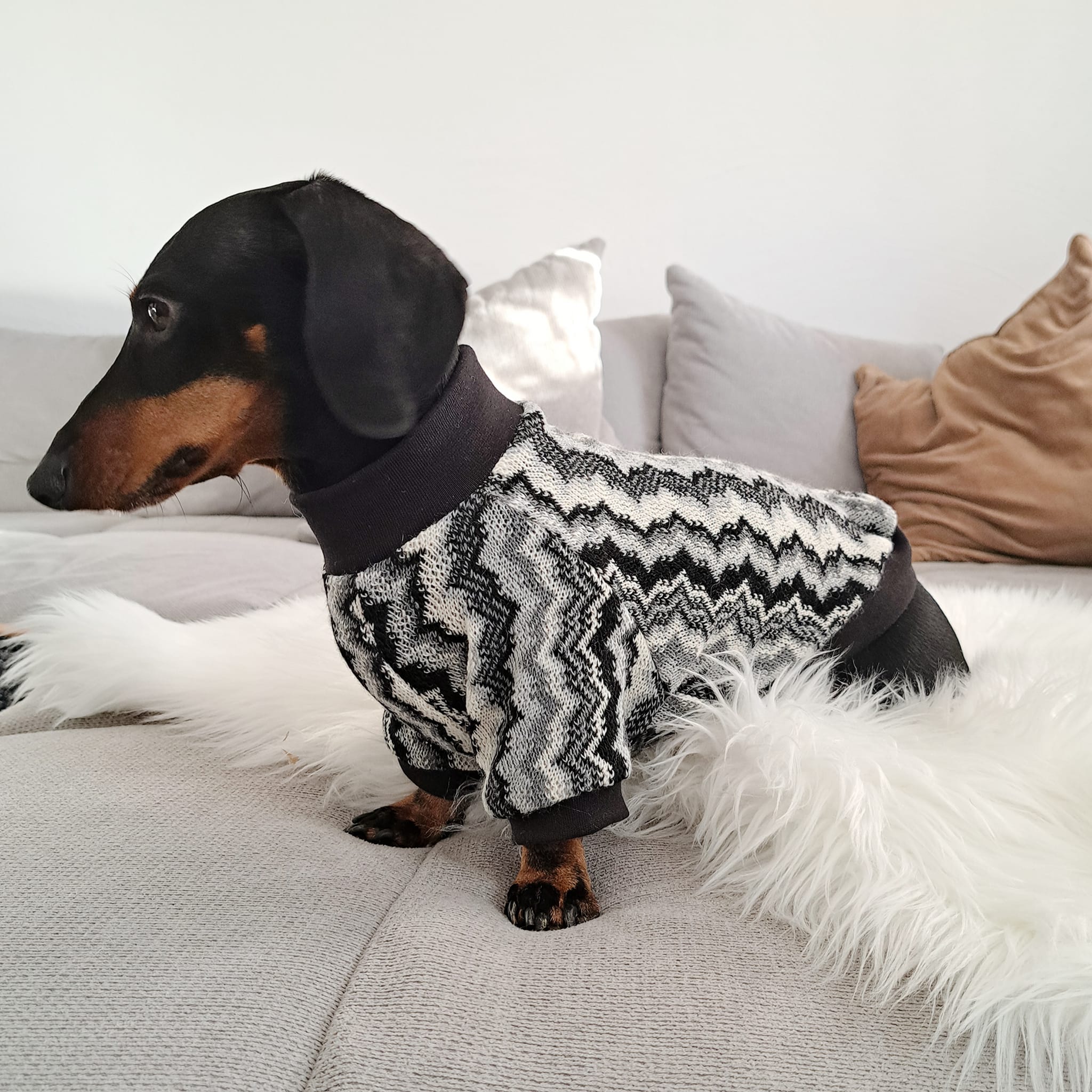 505317665_10233866969009793_5442276182452427247_n