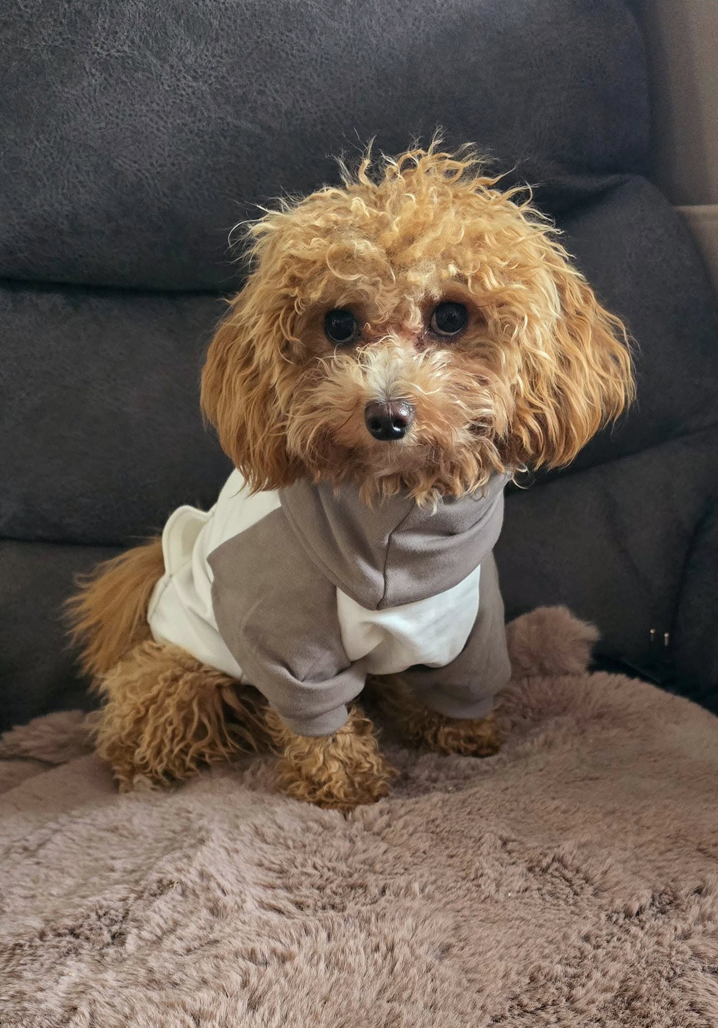 505997300_10235914971085260_6773876700062296122_n