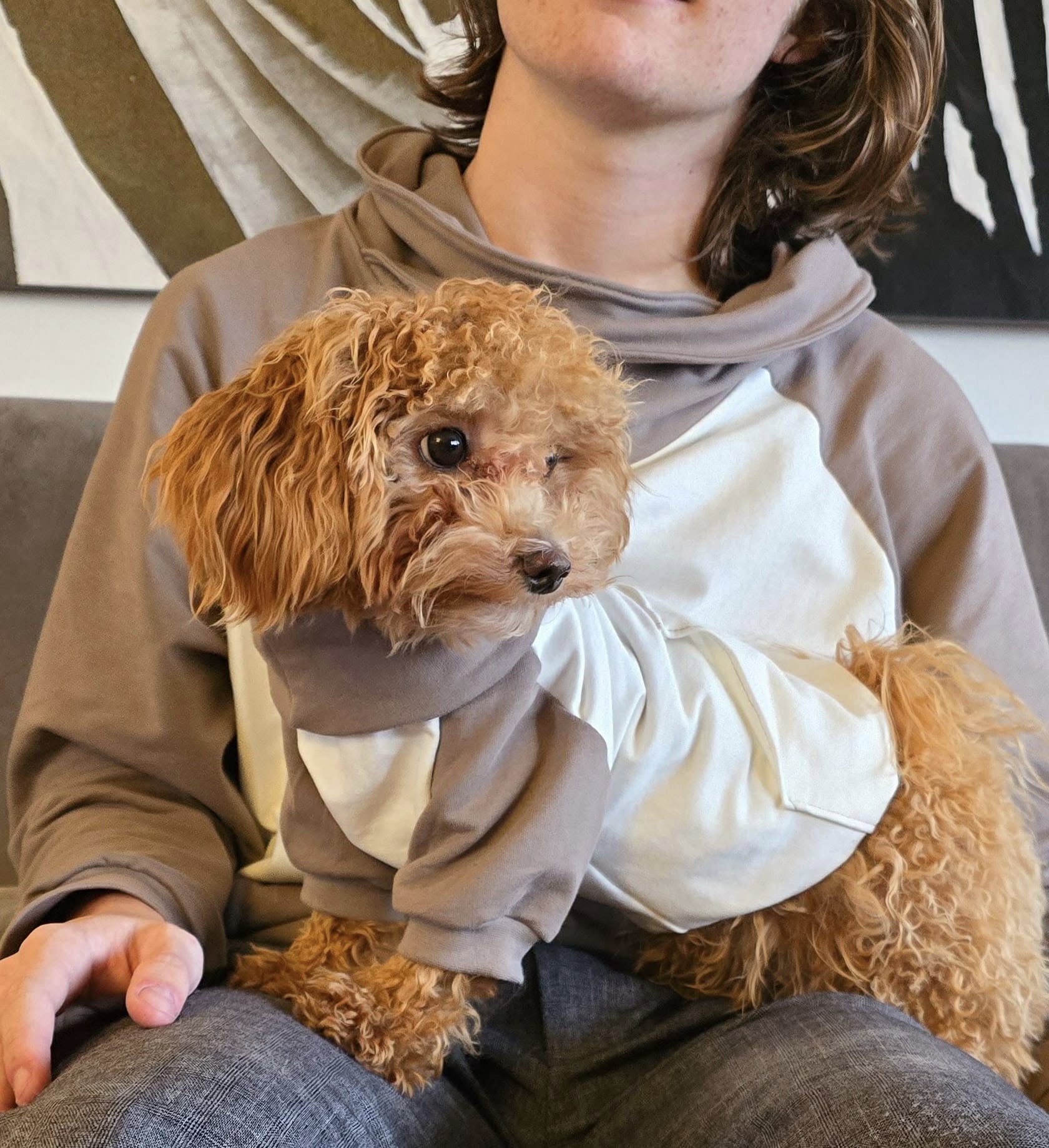 506052189_10235914971005258_2189169592392666020_n