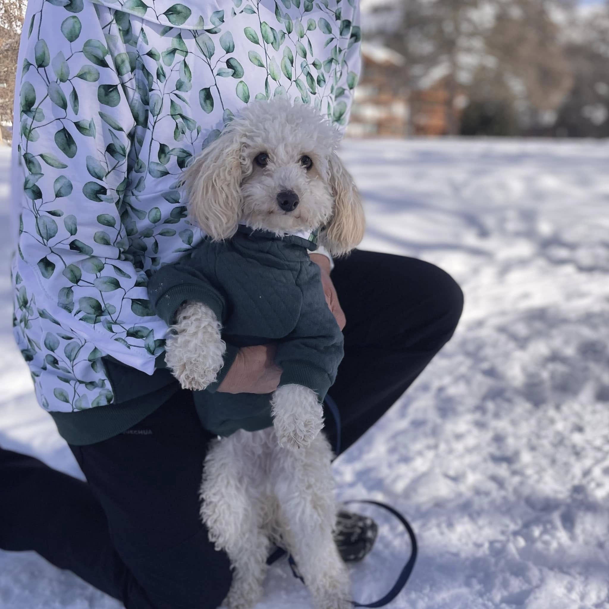 507969208_10237382182595073_5912142726395462007_n